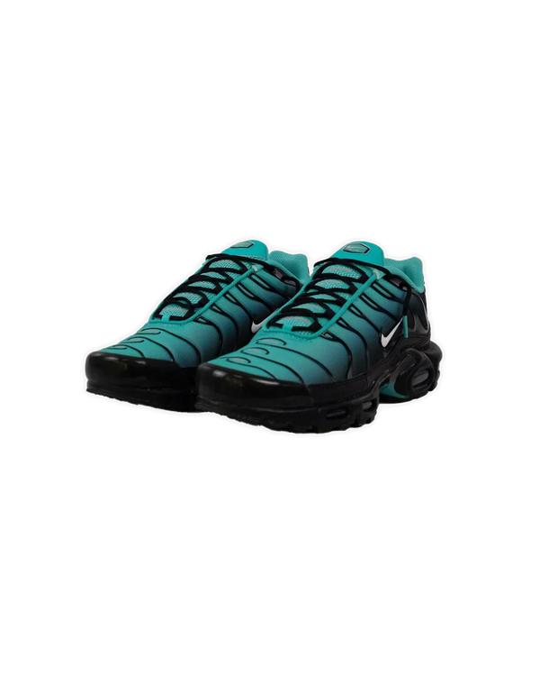 Nike Air Max Plus online kaufen: Der ultimative Kaufguide
