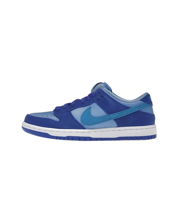 Nike Dunk Low: Was du vor dem Kauf wissen solltest